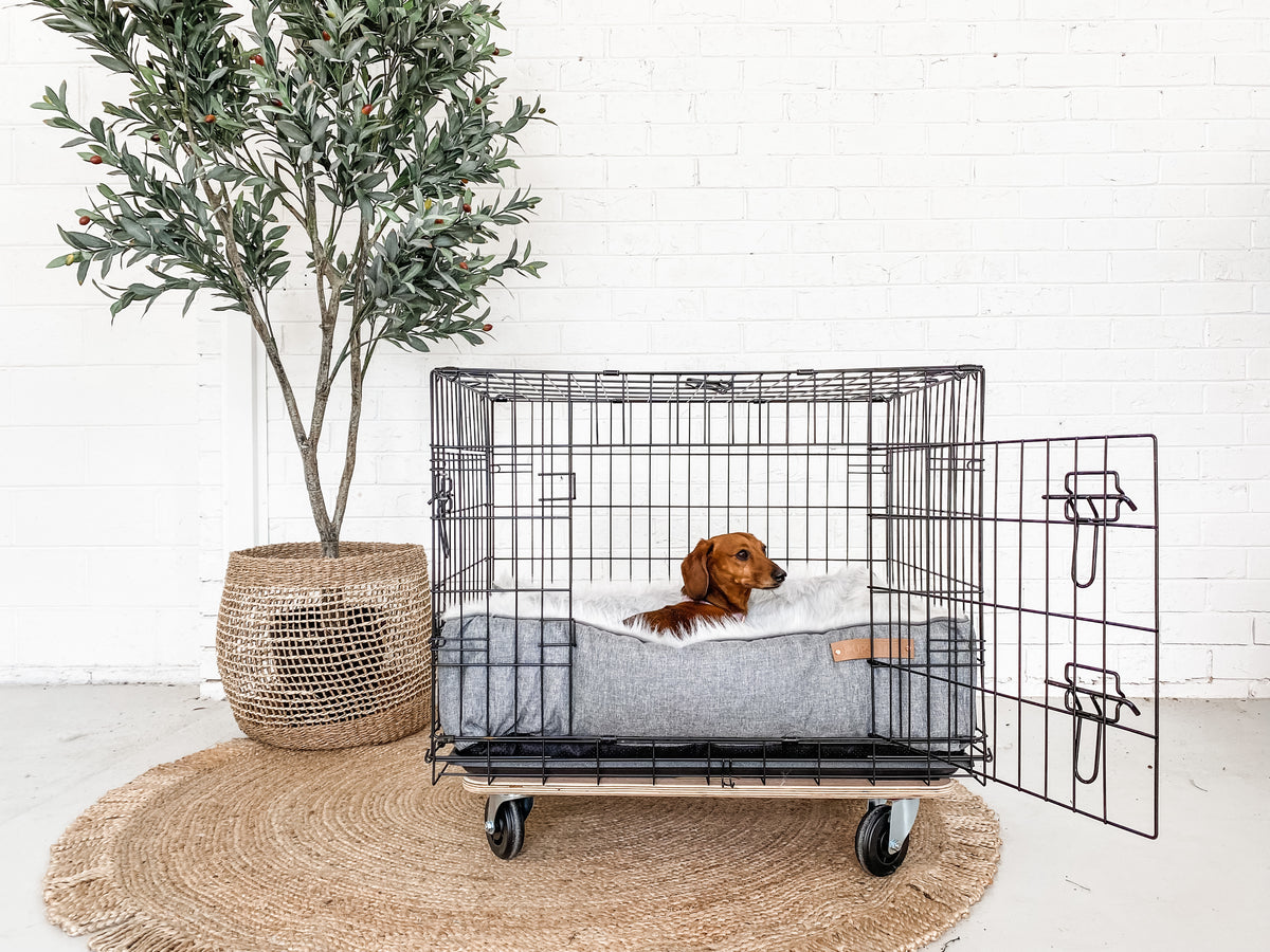 Crate Training for Dogs the How and Why PUPSTYLE