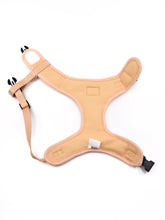 Creme Brulee Harness (Seconds)