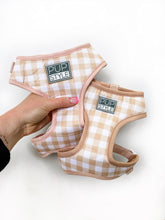 Creme Brulee Harness (Seconds)