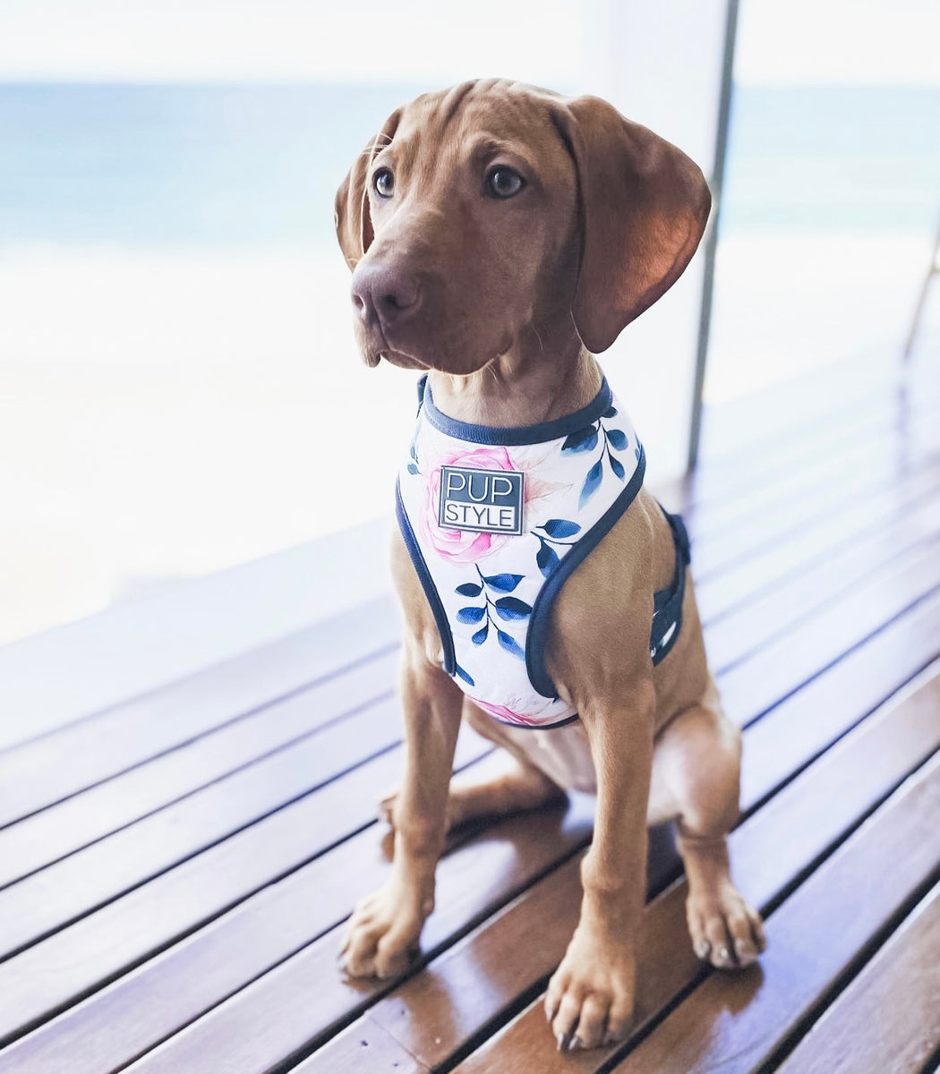 Fresh Blooms dog harness for walking PUPSTYLE Store