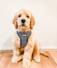 Emerald Envy Harness