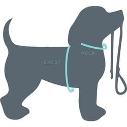 Step-in Harness measuring guide