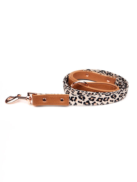 Wild One leopard print premium dog leash | PUPSTYLE Store