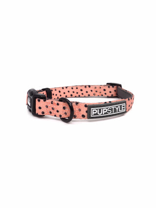 PUPSTYLE Collar Morocco Adventure Dog Collar